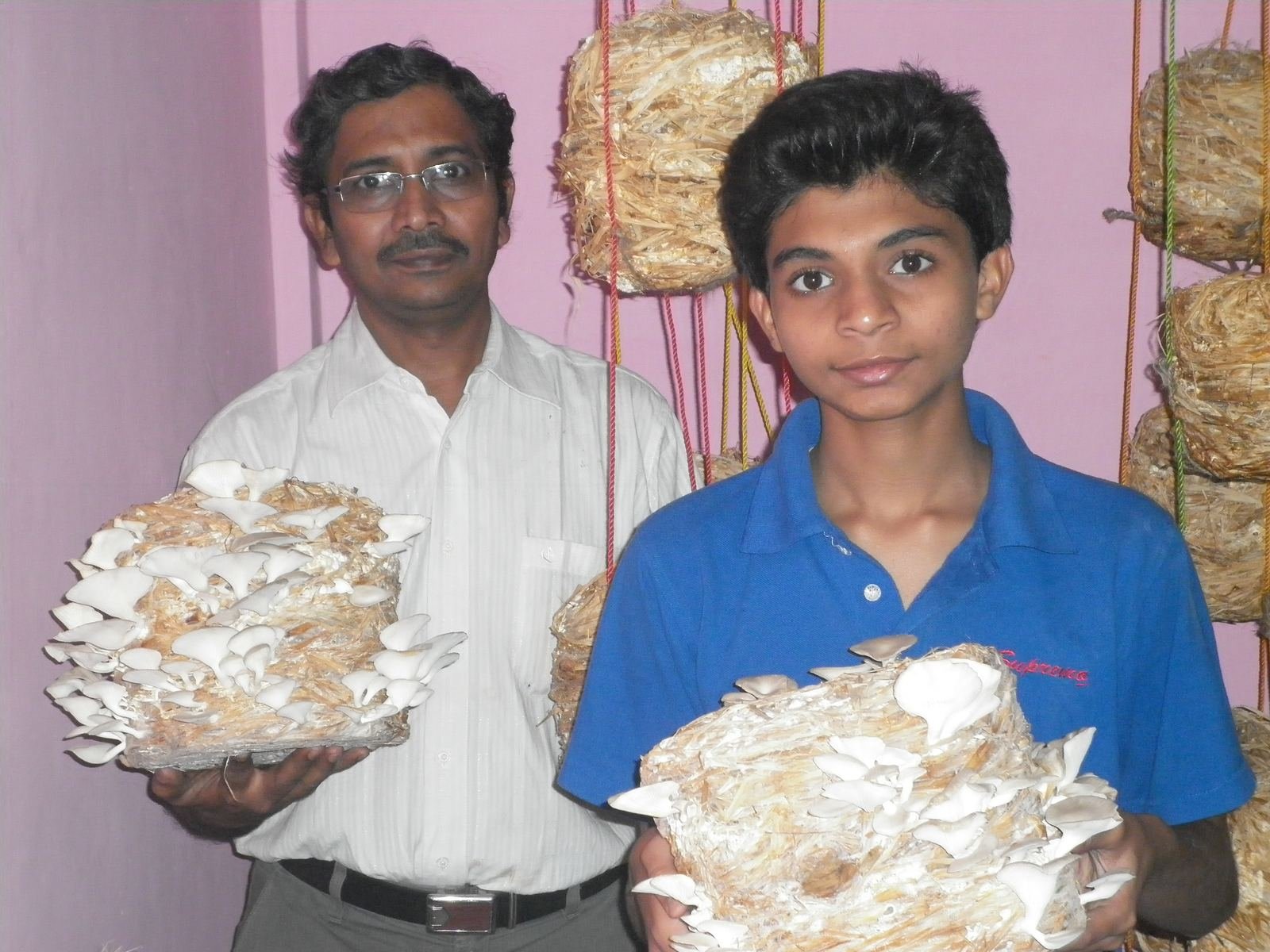 Real Oyster Mushroom Harvest — Mahagro India Trainees