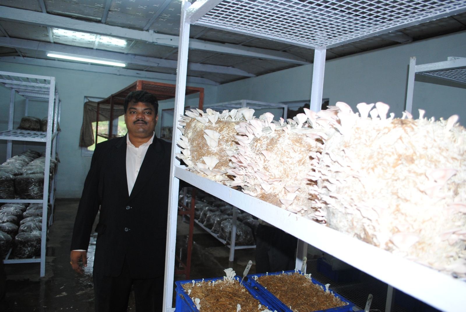 Indoor Commercial Mushroom Rack Setup