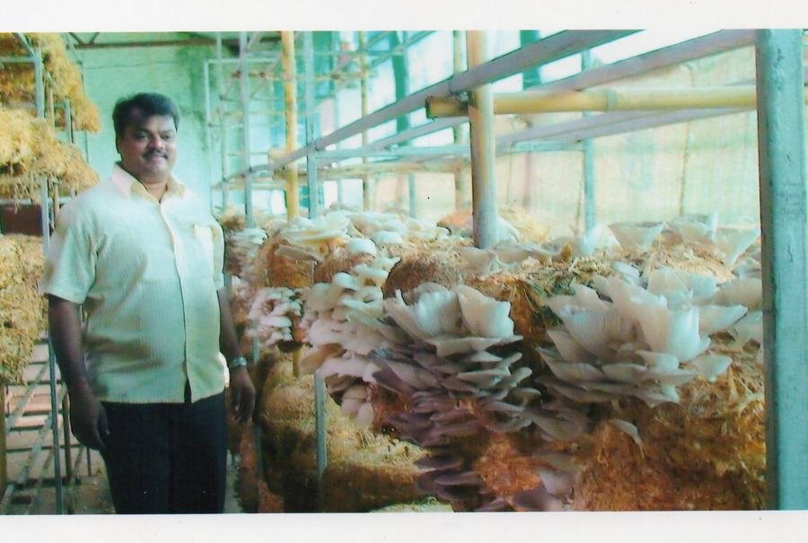 Mahagro India commercial farm setup