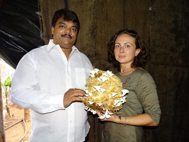 Mahagro India harvest demonstration with a freshly grown mushroom bag