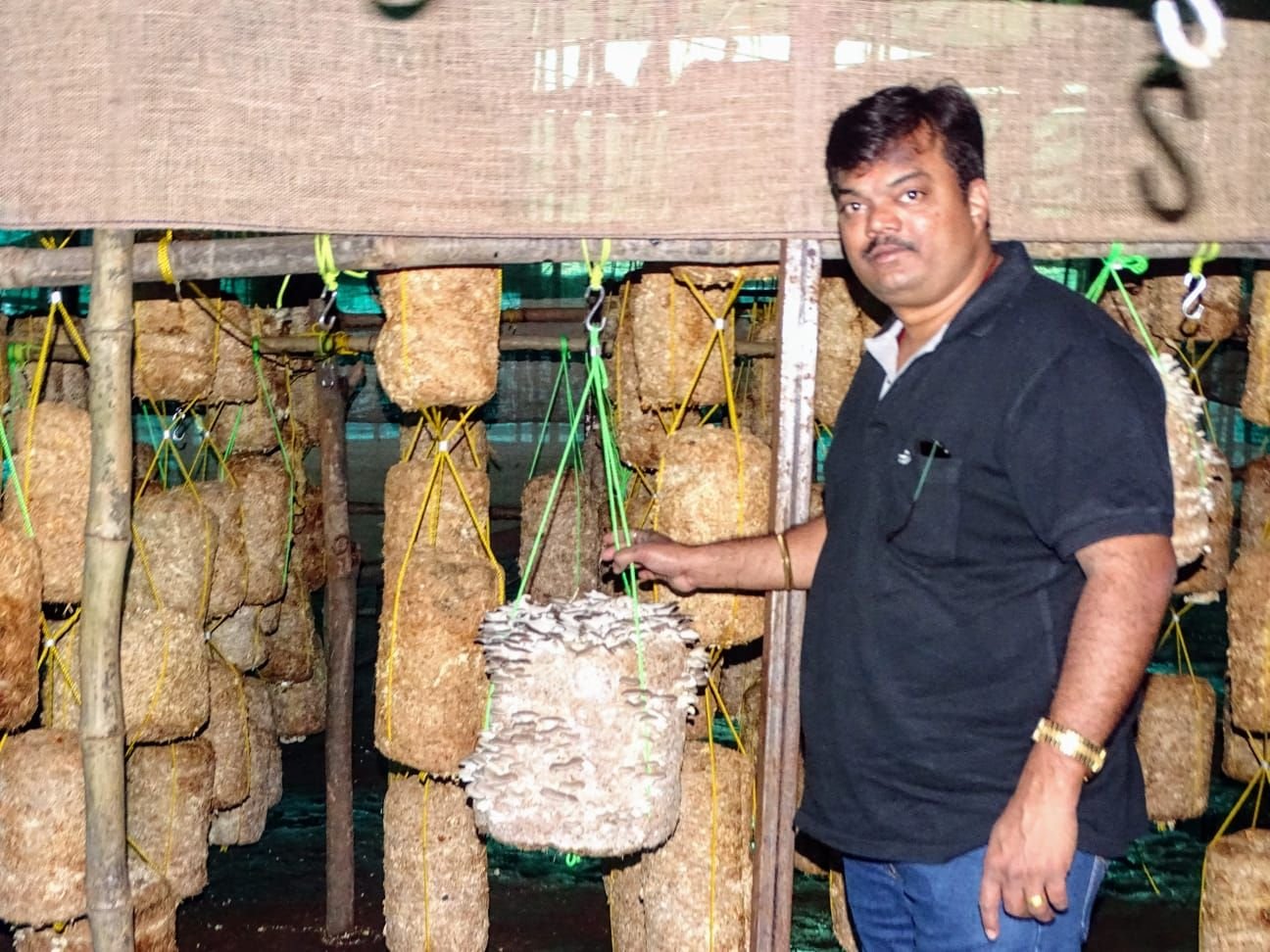 A low-cost outdoor cultivation tunnel