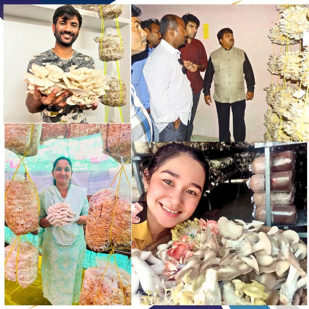 More moments from trainees and their fresh harvests