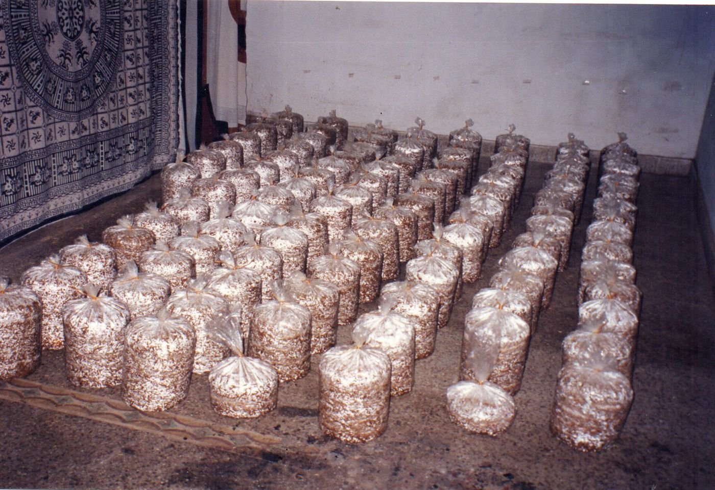 An early batch from Mahagro India's archives